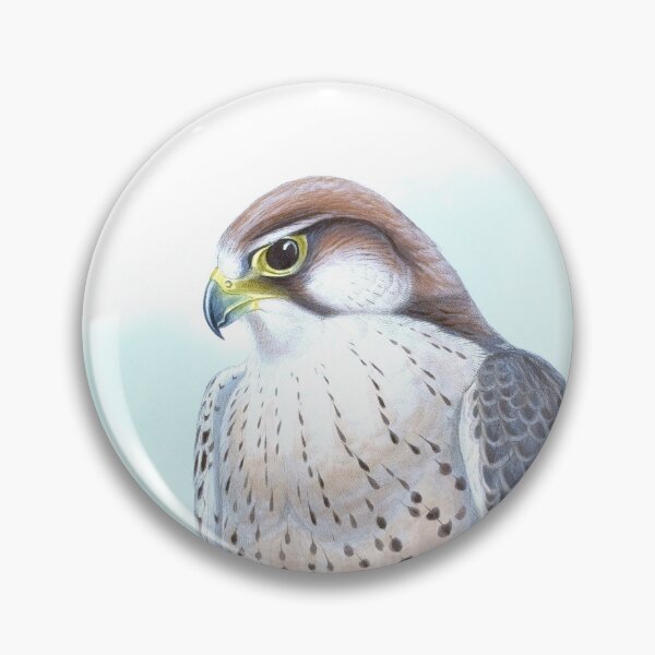 Item preview, Lanner Falcon, 1800s Vintage Bird Art by Joseph Wolf and H. C. Richter designed and sold by VintageRestored.