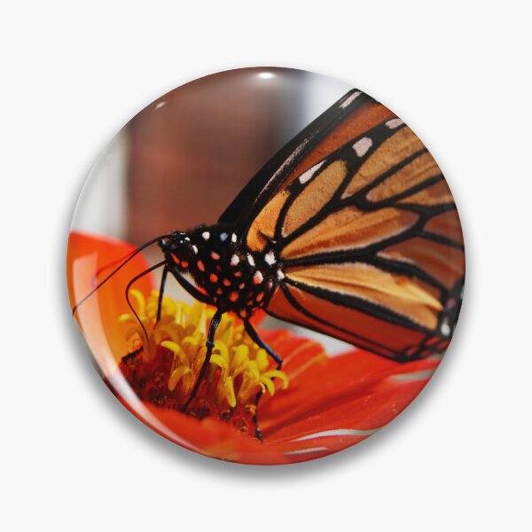 Item preview, Monarch Summer Lunchtime designed and sold by JenCulp.