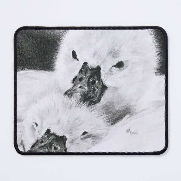 Item preview, Baby swan nestled in its mother's feathers | animal decor designed and sold by NathBros.
