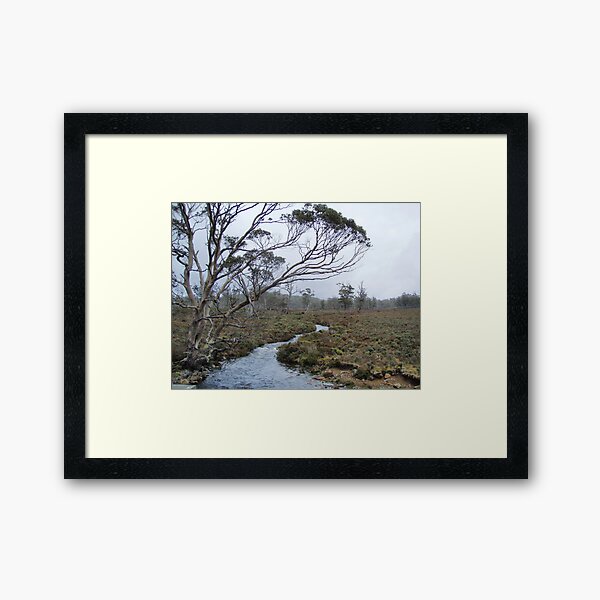 Item preview, Tasmanian bush vista by Cradle Mt designed and sold by Gaylene Norton.