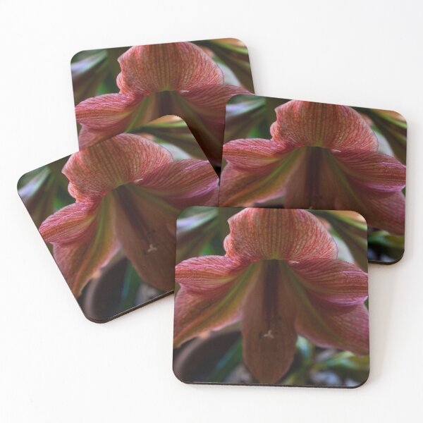 Artikelvorschau, Pinke Blume entworfen und verkauft von cobysugarsphoto.