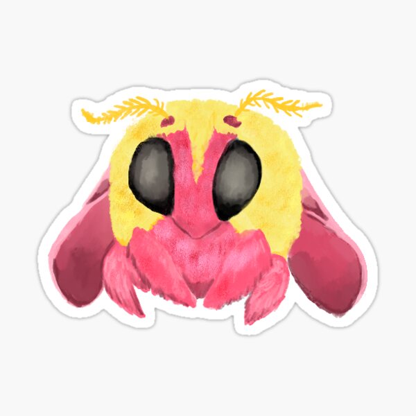 Moth Rosy Maple Moth Cotton Candy Stickers for Sale