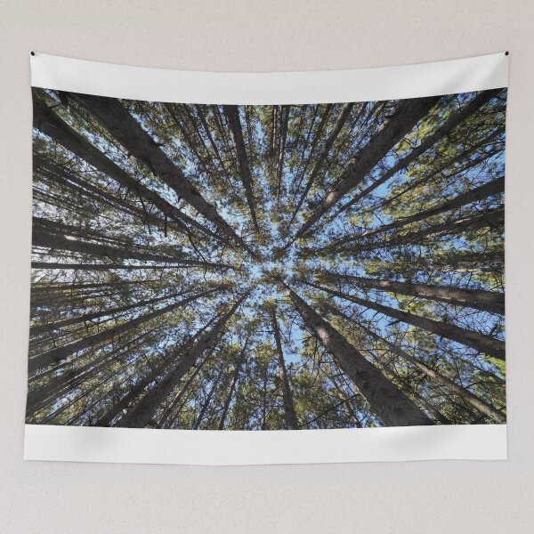 Item preview, Feel the Force designed and sold by RCNaturephotos.