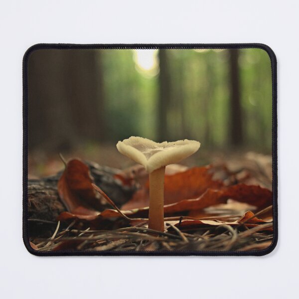 Item preview, Magical Find designed and sold by Vicki Spindler (VHS Photography).