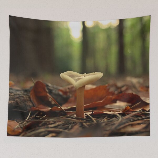 Item preview, Hallazgo Mágico designed and sold by Vicki Spindler (VHS Photography).