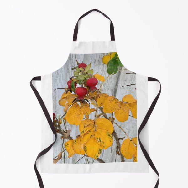 Item preview, Rose hips designed and sold by veraD58.