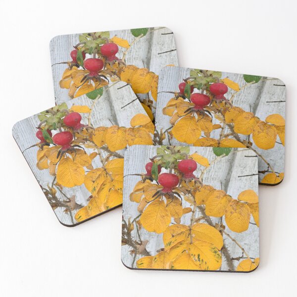 Item preview, Rose hips  designed and sold by veraD58.