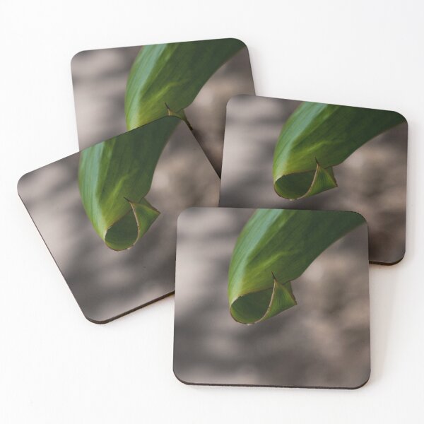 Item preview, Leaf Swirl designed and sold by cobysugarsphoto.