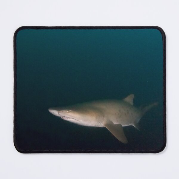 Item preview, Ragged-tooth Shark designed and sold by ScubaPrincesss.
