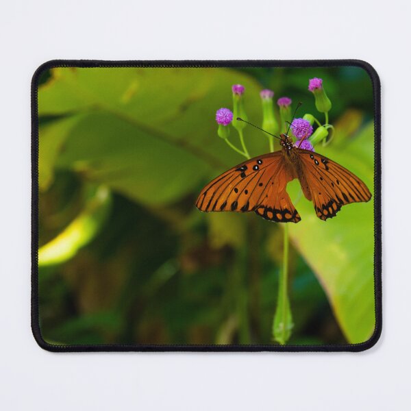 Item preview, Butterfly designed and sold by cobysugarsphoto.