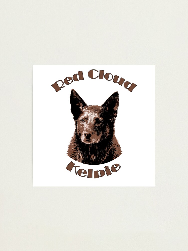 Australian red cloud sales kelpie