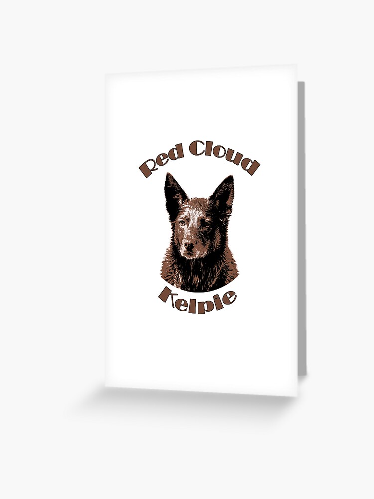 Red best sale cloud kelpie