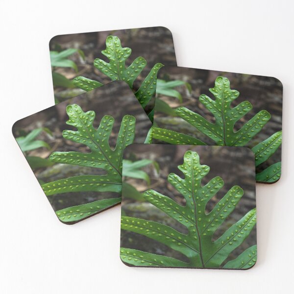 Item preview, Indented Leaf designed and sold by cobysugarsphoto.