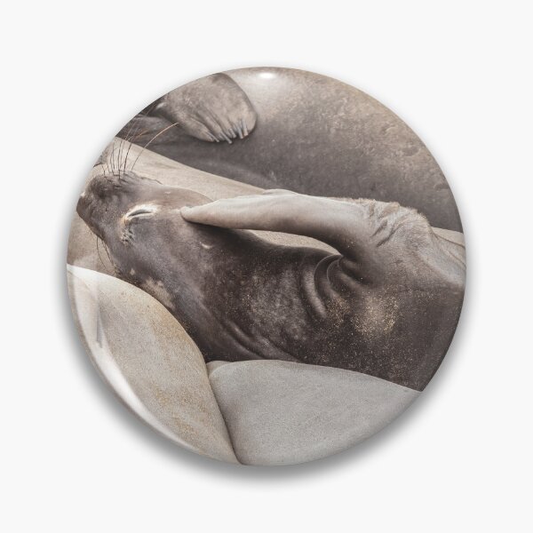 Item preview, Scratching designed and sold by jvnimages.