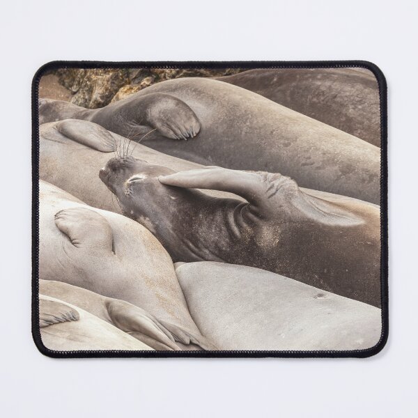 Item preview, Scratching designed and sold by jvnimages.