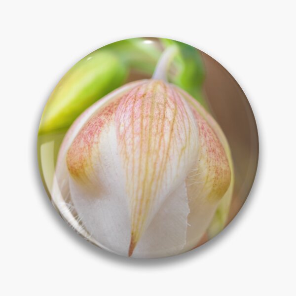 Item preview, Globe Lily designed and sold by jvnimages.