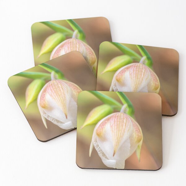 Item preview, Globe Lily designed and sold by jvnimages.