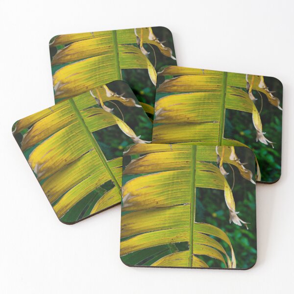 Item preview, Yellowing Leaf designed and sold by cobysugarsphoto.