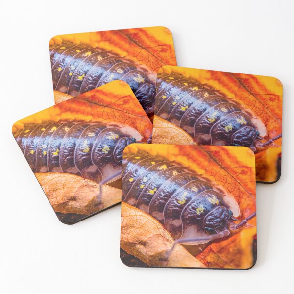 Item preview, Armadillo Bug, Pill Bug - Armadillidiidae designed and sold by AronsTinySafari.