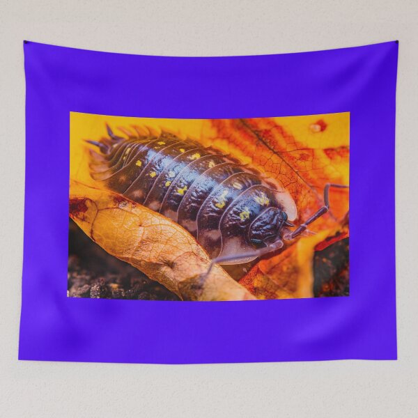 Item preview, Armadillo Bug, Pill Bug - Armadillidiidae designed and sold by AronsTinySafari.
