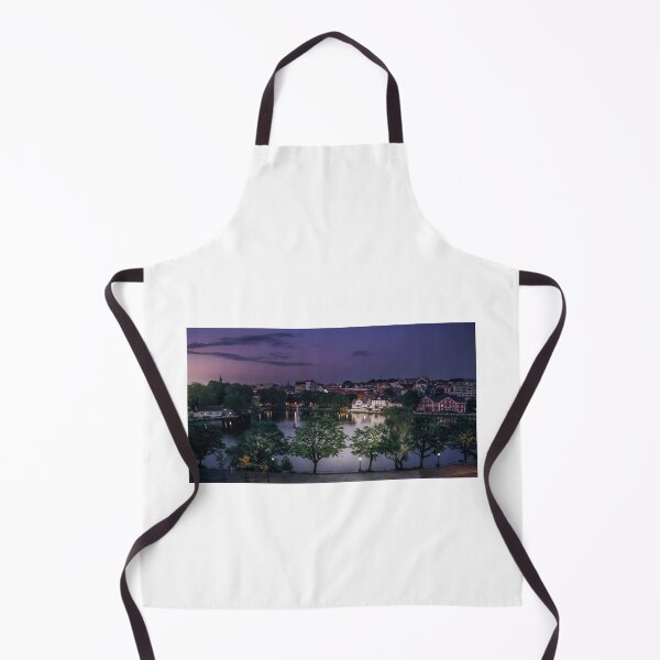 Item preview, Breiavatnet Lake in Stavanger designed and sold by nbrandsberg.