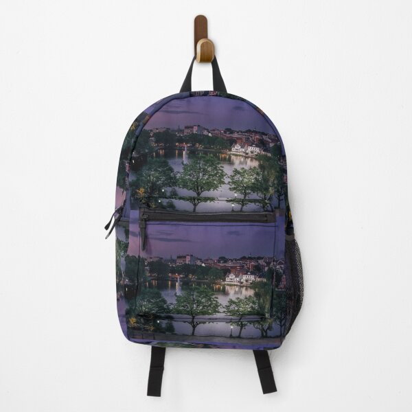 Item preview, Breiavatnet Lake in Stavanger designed and sold by nbrandsberg.