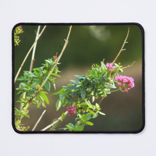 Item preview, pink flowers designed and sold by Francespoppy.