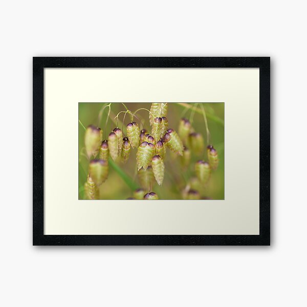 Item preview, quacking Grass designed and sold by jvnimages.
