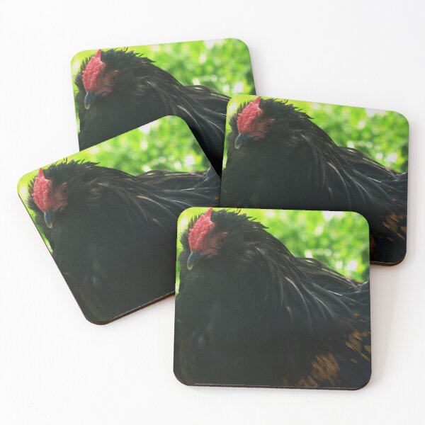 Item preview, black chicken designed and sold by Francespoppy.