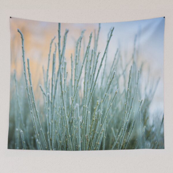 Item preview, Frosty Foliage designed and sold by vickylewisphoto.