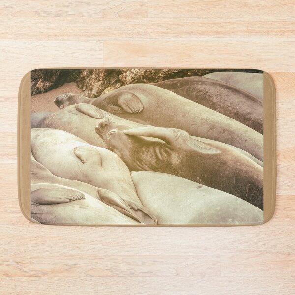 Item preview, Sleeping Seals designed and sold by jvnimages.