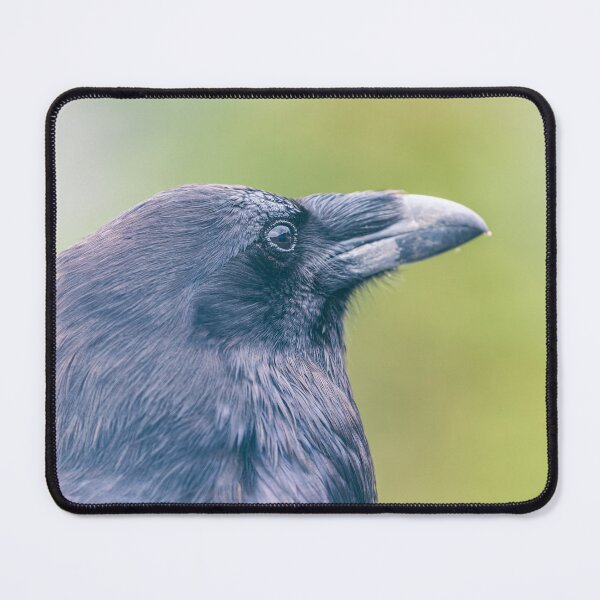 Item preview, Raven designed and sold by jvnimages.