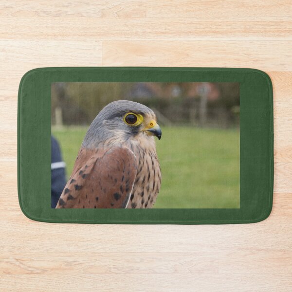 Item preview, A Small Kestrel designed and sold by thelemmingface.