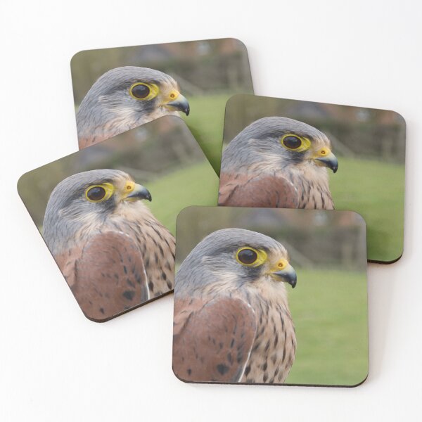 Item preview, A Small Kestrel designed and sold by thelemmingface.