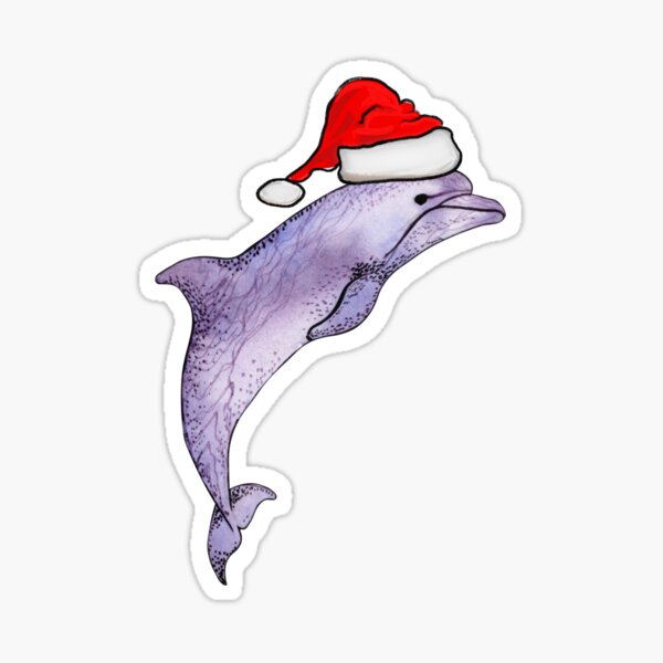 miami dolphin christmas hat