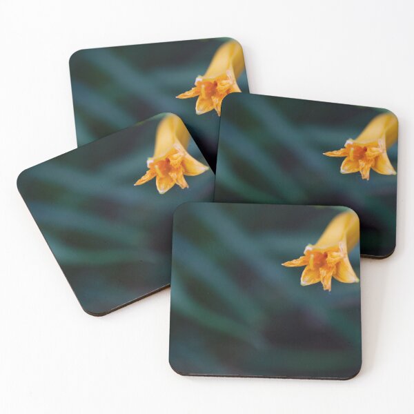 Item preview, Flowerbud designed and sold by cobysugarsphoto.