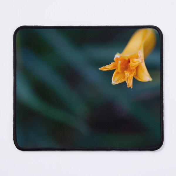 Item preview, Flowerbud designed and sold by cobysugarsphoto.