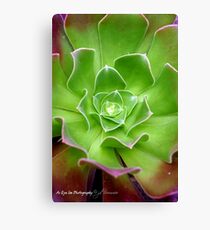 Feeling Fancy Canvas Print