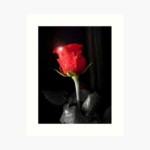 Aperçu de l'œuvre Rose rouge 1 créée et vendue par Eugenio.