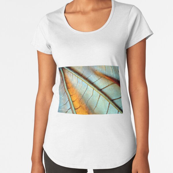 You're So Vein Premium Scoop T-Shirt