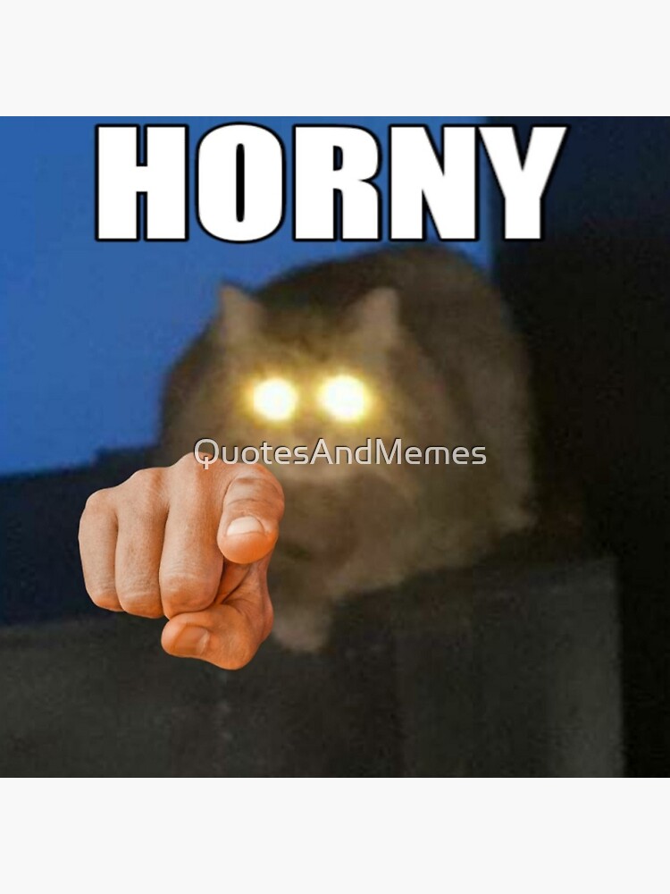 "Horny cat meme" Sticker for Sale by QuotesAndMemes Redbubble