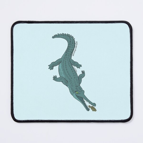 Item preview, Attrape Poisson - FR - Gavial designed and sold by LaumiRez.