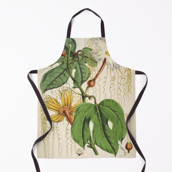 Item preview, Vintage Flowering Vine Illustration H. heteroclita designed and sold by WeFLVintage.