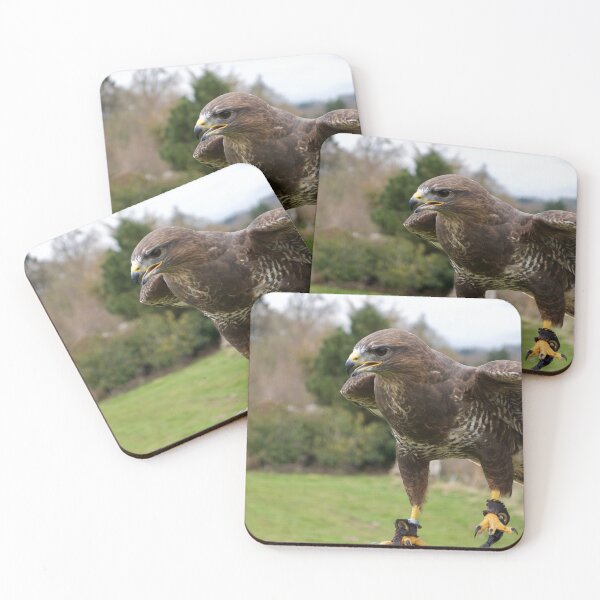 Item preview, Lovely Hawk on a Falconer's Hand designed and sold by thelemmingface.
