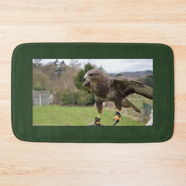 Item preview, Lovely Hawk on a Falconer's Hand designed and sold by thelemmingface.