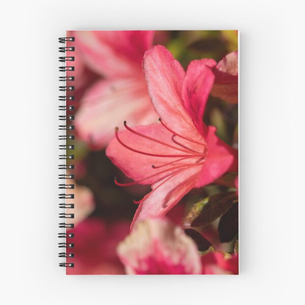 Item preview, pink rhododendron designed and sold by codaimages.
