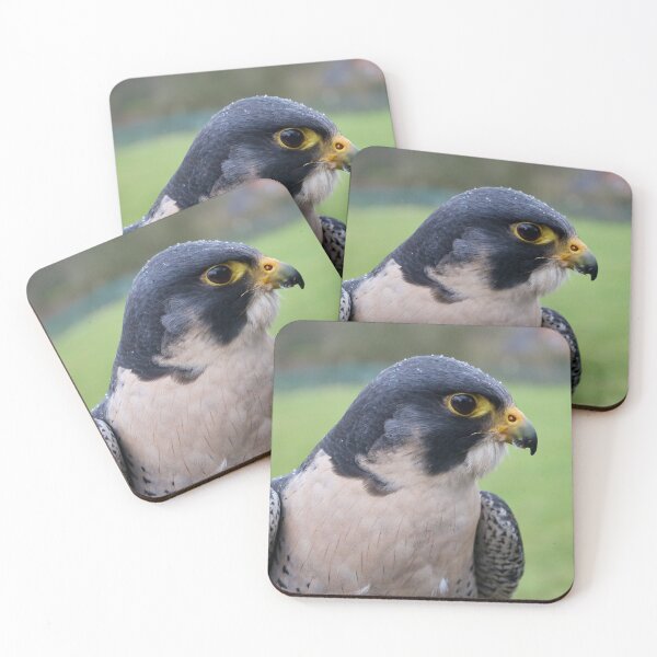 Item preview, Peregrine Falcon In The Rain designed and sold by thelemmingface.