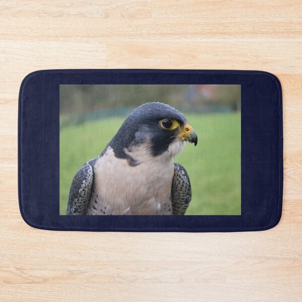Item preview, Peregrine Falcon In The Rain designed and sold by thelemmingface.