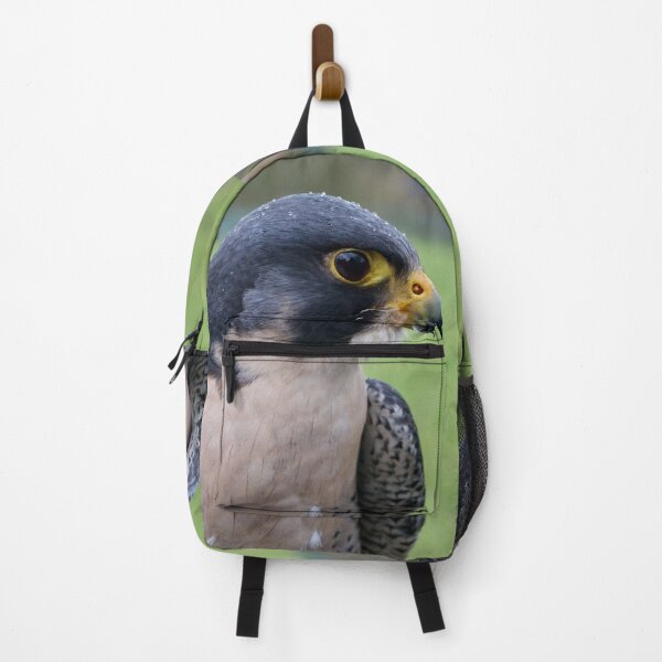 Item preview, Peregrine Falcon In The Rain designed and sold by thelemmingface.