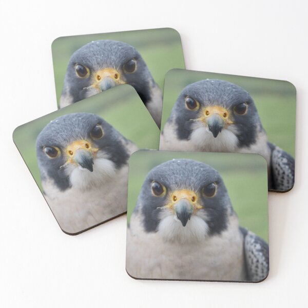 Item preview, Peregrine Falcon Head/Face designed and sold by thelemmingface.